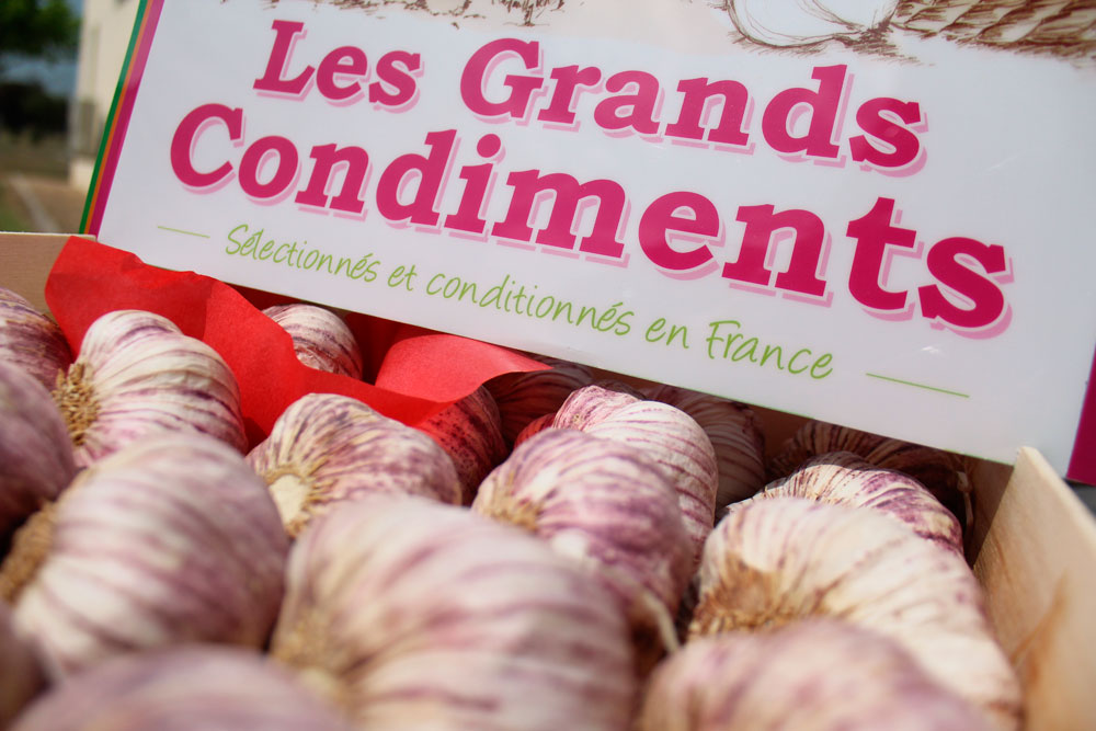 Agence-de-communication-Montauban-82-Couleur-Pollen_Les Grands Condiments Condifrance création packaging