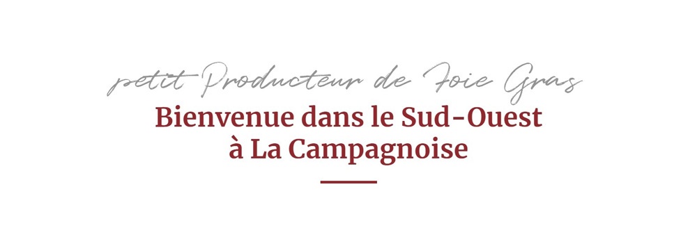 Agence-de-communication-Montauban-82-Couleur-Pollen_création site web e-commerce La Campagnoise producteur